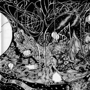 The death of the butterfly